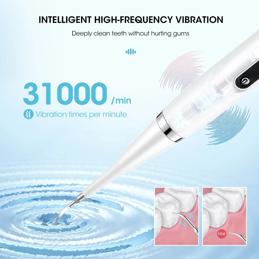 Electric Toothbrush and Flosser