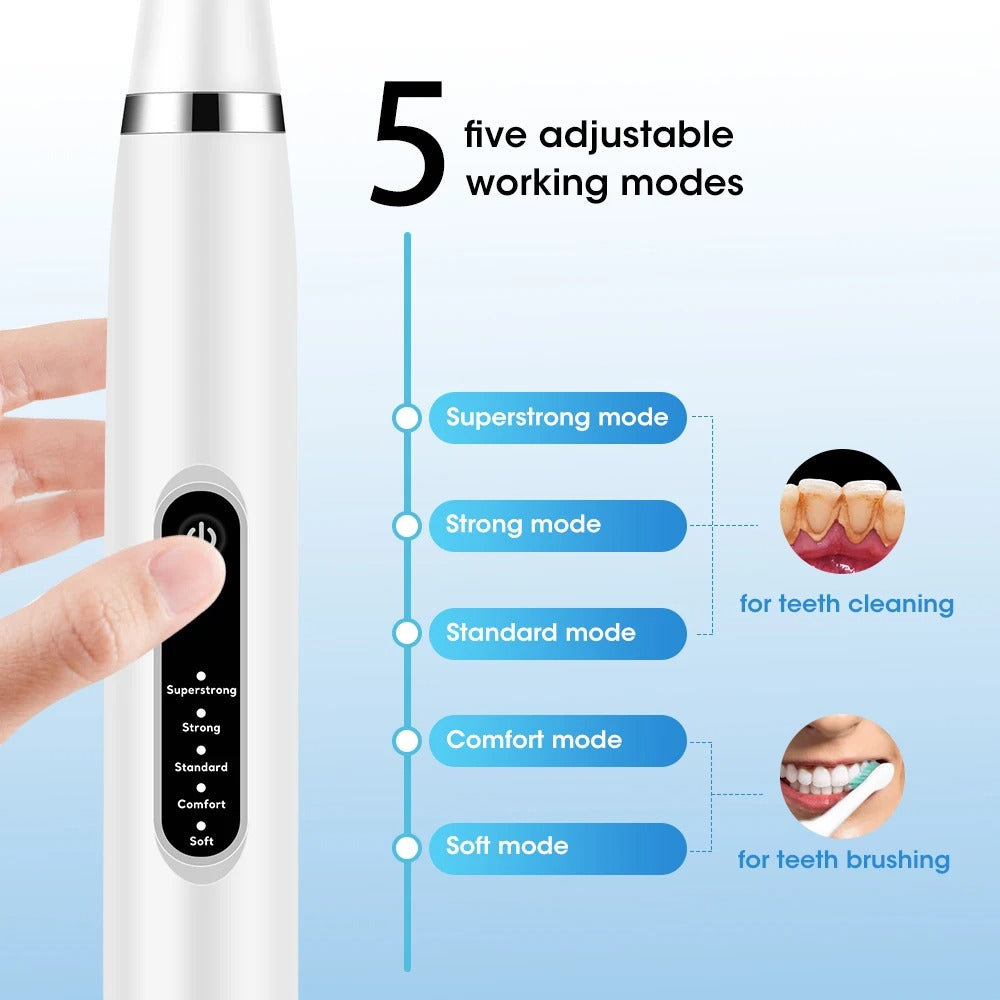 Electric Toothbrush and Flosser